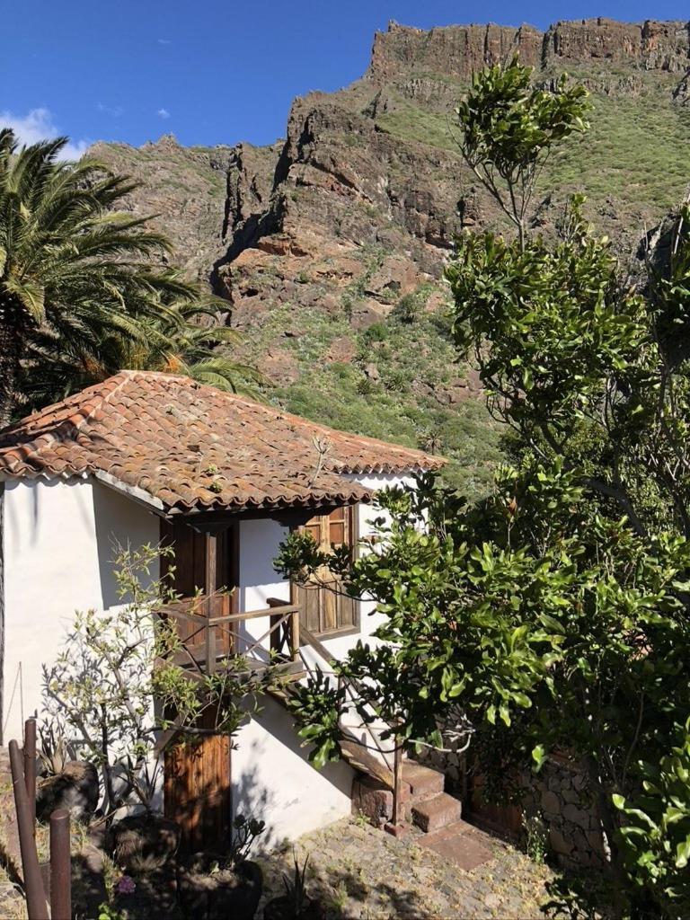 Home2Book El Encanto De La Torre I Santa Cruz de Tenerife Luaran gambar